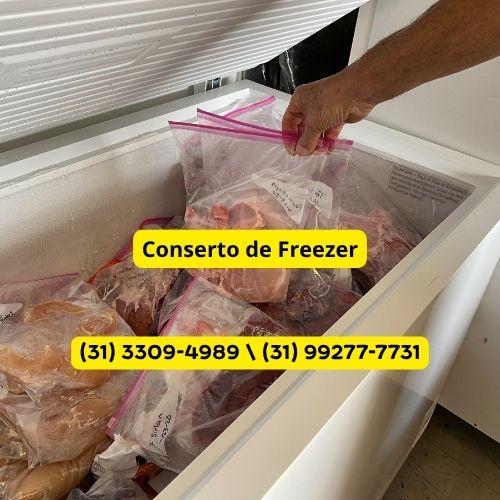 Conserto de Freezer em Raposos | Formak