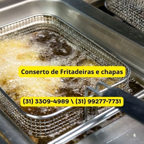 Conserto de Fritadeira e Chapa em Raposos | Formak