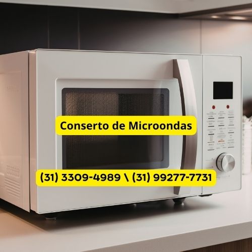 Conserto de Micro-ondas em Raposos | Formak