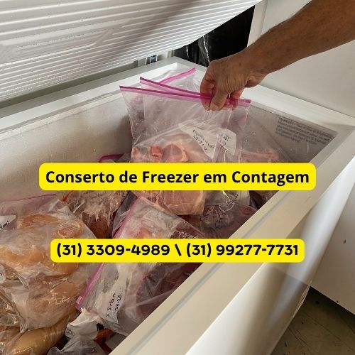 Conserto de Freezer em Contagem | Formak