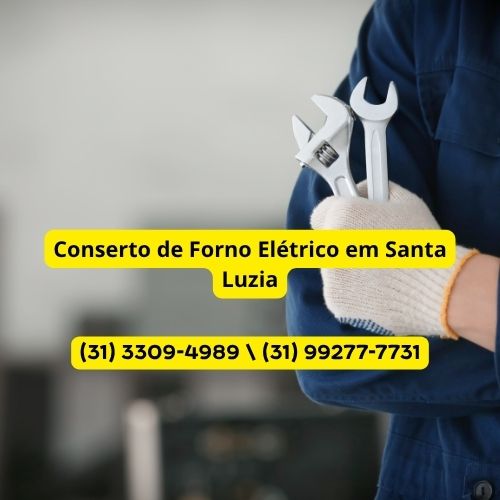 Conserto de Forno Elétrico em Santa Luzia | Formak