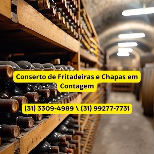 Conserto de Fritadeira e Chapa em Contagem | Formak